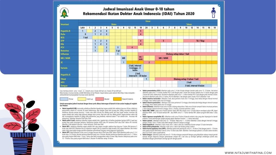 Jadwal vaksin balita dan bayi